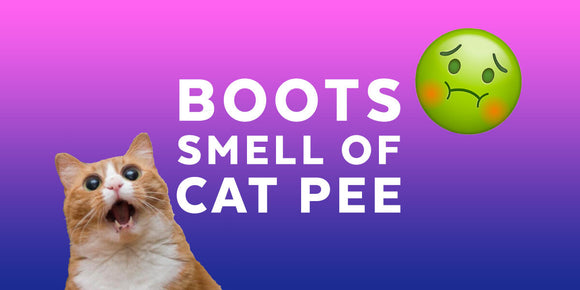 why do my shoes smell like cat pee