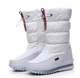 Women Snow Boots Platform Winter Boots Thick Plush Waterproof Non-slip Boots Fashion Women Winter Shoes Warm Fur Botas mujer